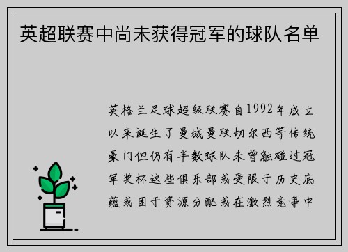 英超联赛中尚未获得冠军的球队名单